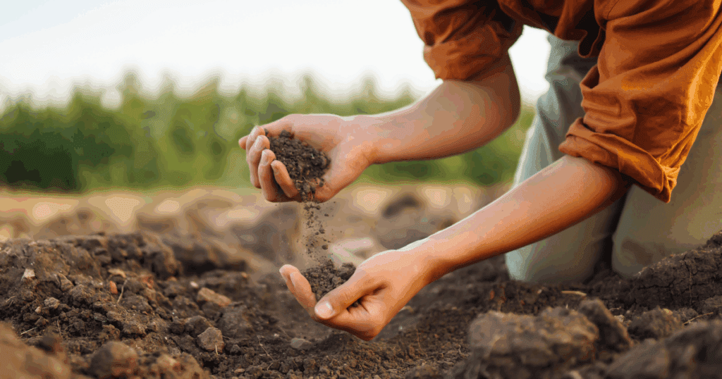 Person kneeling and holding soil, focusing on plant care to revive plants in the background.