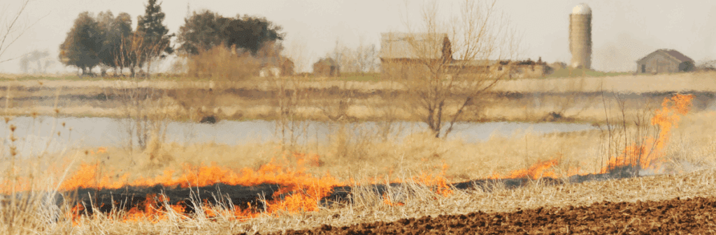 A grass fire, used in cultural burning, burns in a field near a farm with buildings and a silo.