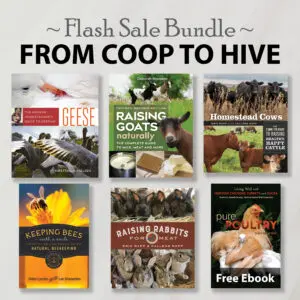From Coop to Hive paperback bundle covers are arranged for a coop-themed flash sale.