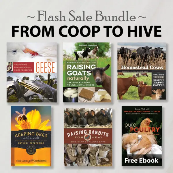 From Coop to Hive paperback bundle covers are arranged for a coop-themed flash sale.