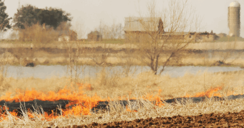 Grass fire burning in a field, demonstrating land revitalization near farm buildings and a silo.