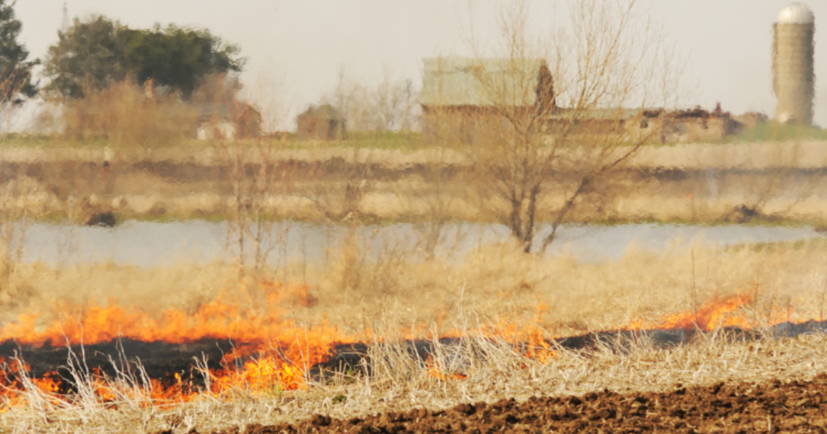 Grass fire burning in a field, demonstrating land revitalization near farm buildings and a silo.