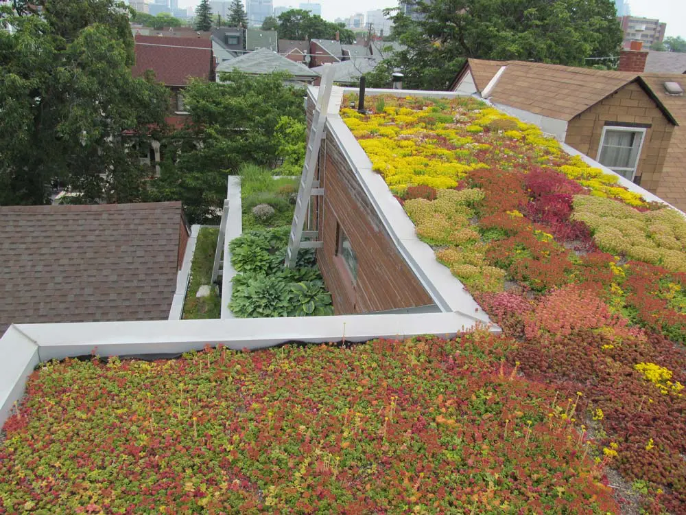 Rooftops covered with green and colorful plants showcase the benefits of green roofs.