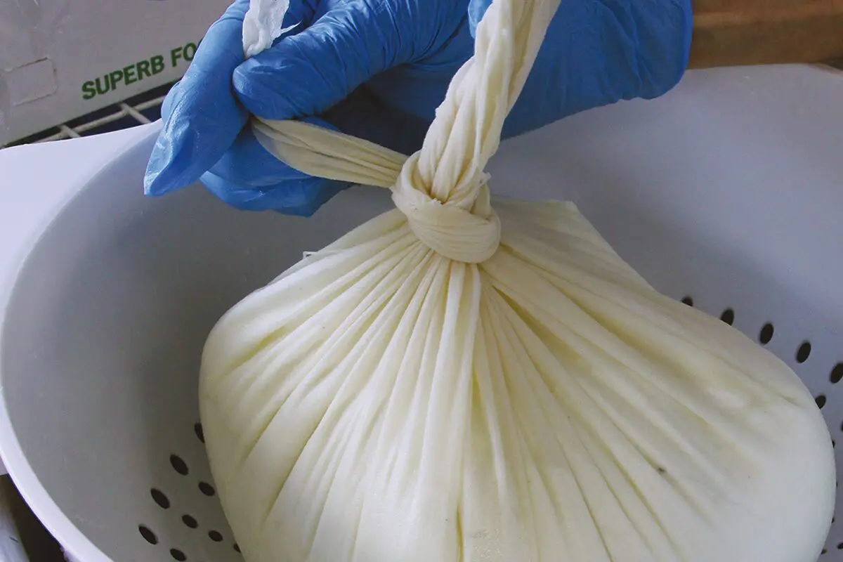 A person holding a bag of white material for homemade cheese making.