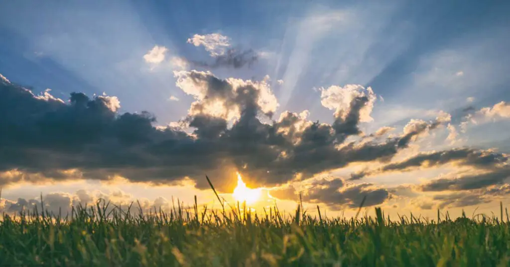 The sun rises in a cloudy sky over a grassy field..