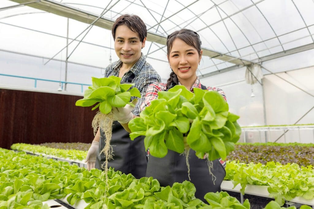 An Asian couple holding up leafy greens in a large greenhouse