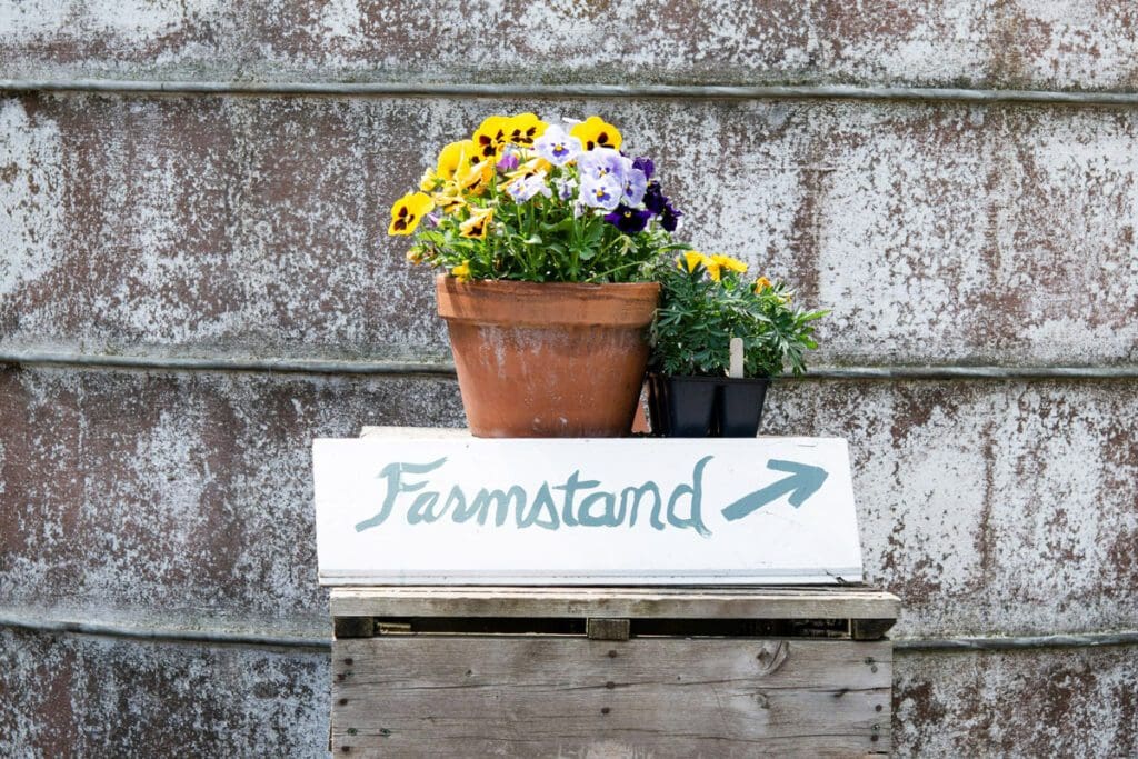 A handmade "Farmstead" sign with two pots of flower behind it.  There is an arrow pointing to the stand which is not in frame.