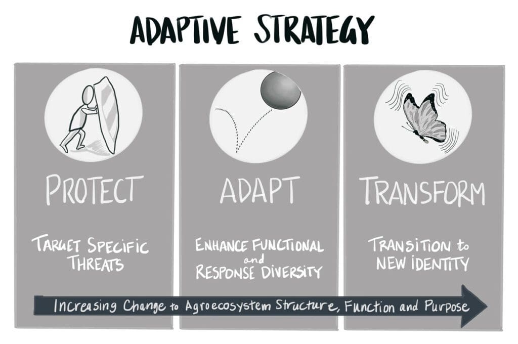 An adaptive strategy illustration showing the three elements (protect, adapt, and transform) for increasing change to agro-ecosystem structure, function, and purpose.
