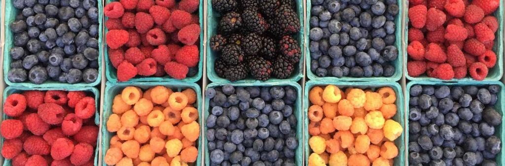 Assorted berries and small fruit in bins - blackberries, raspberries, blueberries and more.