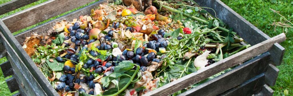 A wooden crate full of fruits and vegetables - apples, blueberries, grapes and leaves.