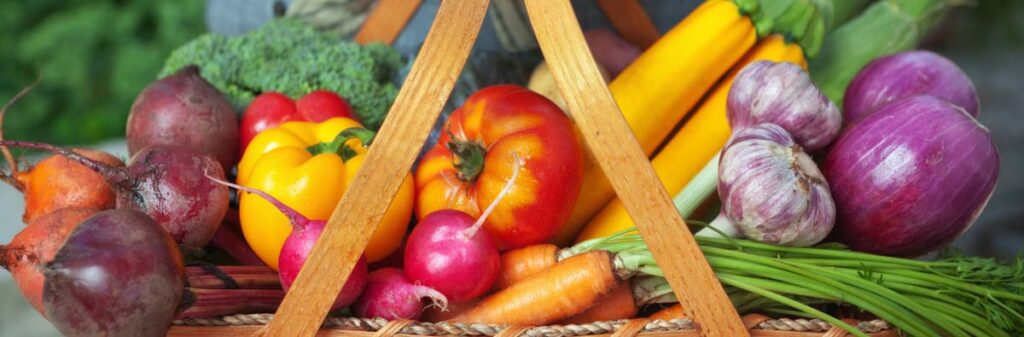 A wicker basket full of colorful vegetable: peppers, radishes, red onions, broccoli, carrots and parsnips