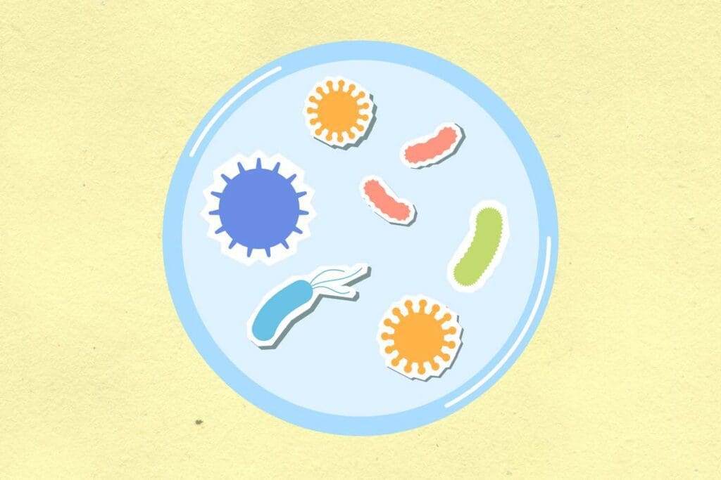 Colored illustration of microbes under a microscope.