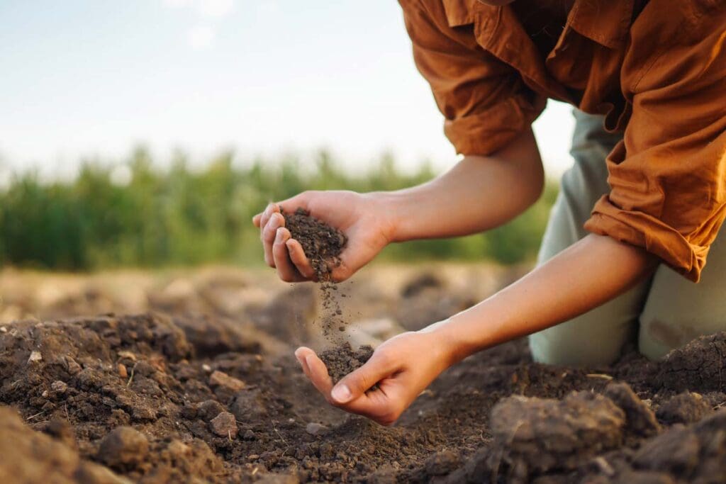 A woman kneels in the soil with handfuls in each hand.
