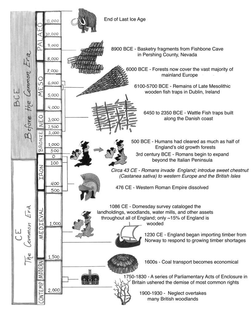 Illustrated timeline of the History and Evolution of Coppicing Explored in This Book