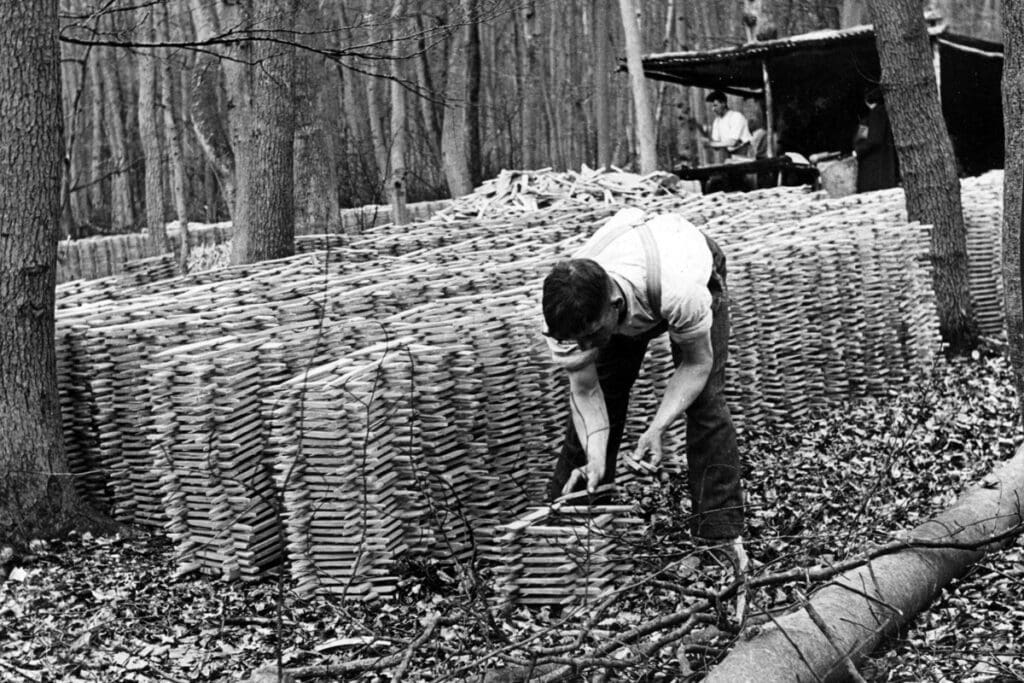 A craftsman carefully stacks finished wooden tent pegs to dry in the woods, ca. 1941. Note the outdoor workshop in the background. Photo courtesy of the Museum of English Rural Life, University of Reading, used by permission.