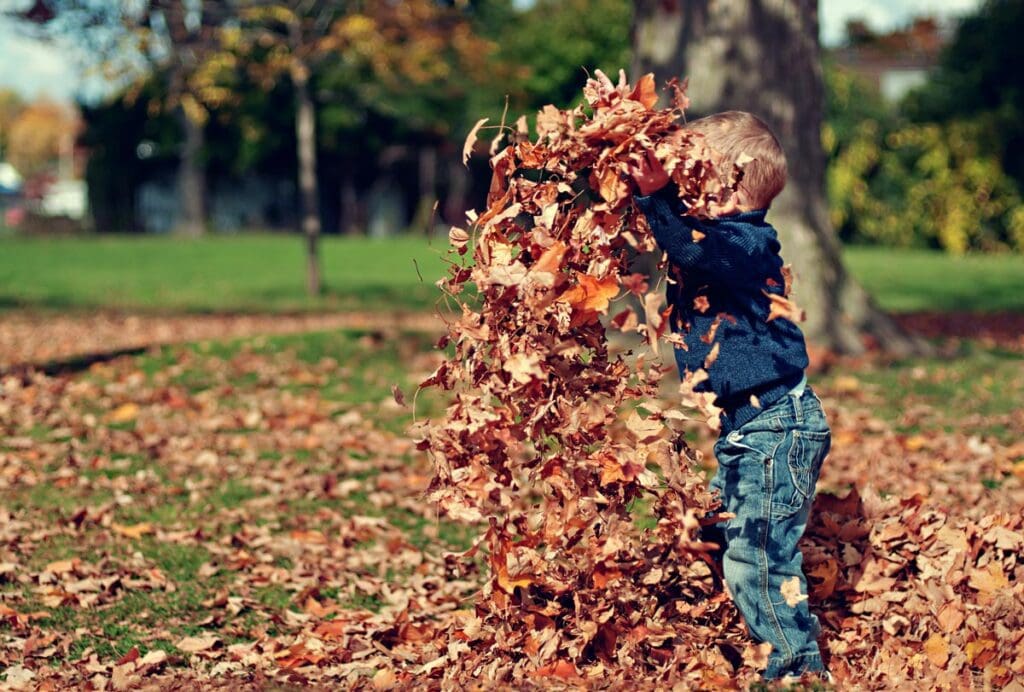 A young boy plays in a pile of colorful leaves, throwing them in the air.