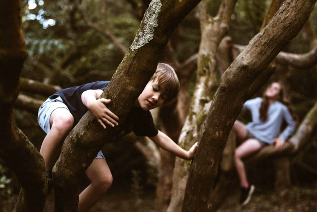A young boy climbs a tree as a teenage girl sits on a large branch.