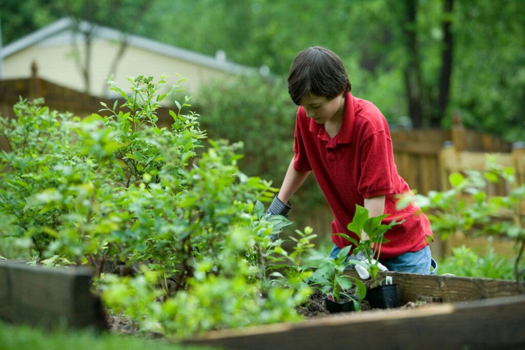 A teenage plants in a garden.