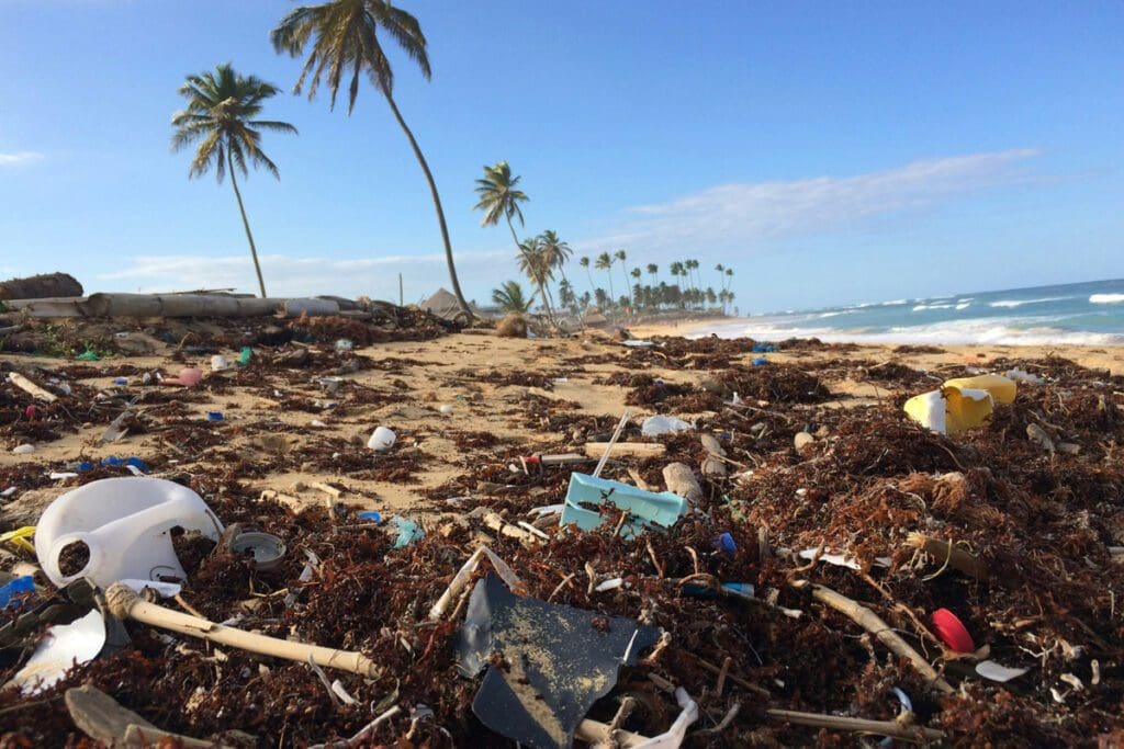 Trash on the beach next to the ocean.