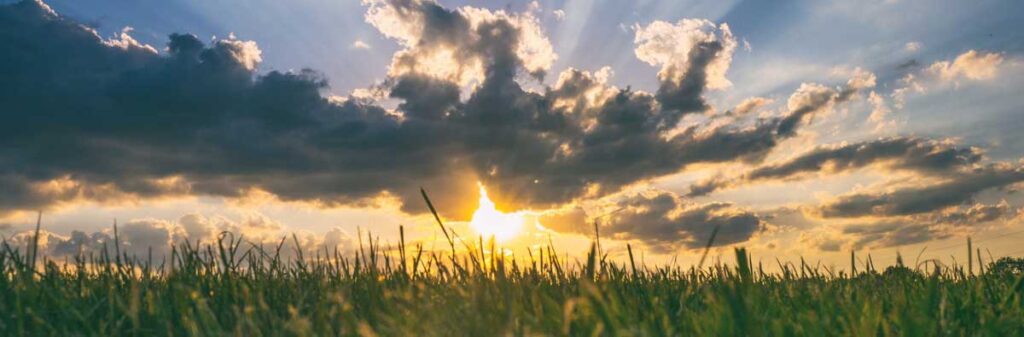 The sun rises in a cloudy sky over a grassy field..