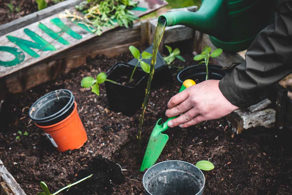 A person amending the soil before planting begins.
