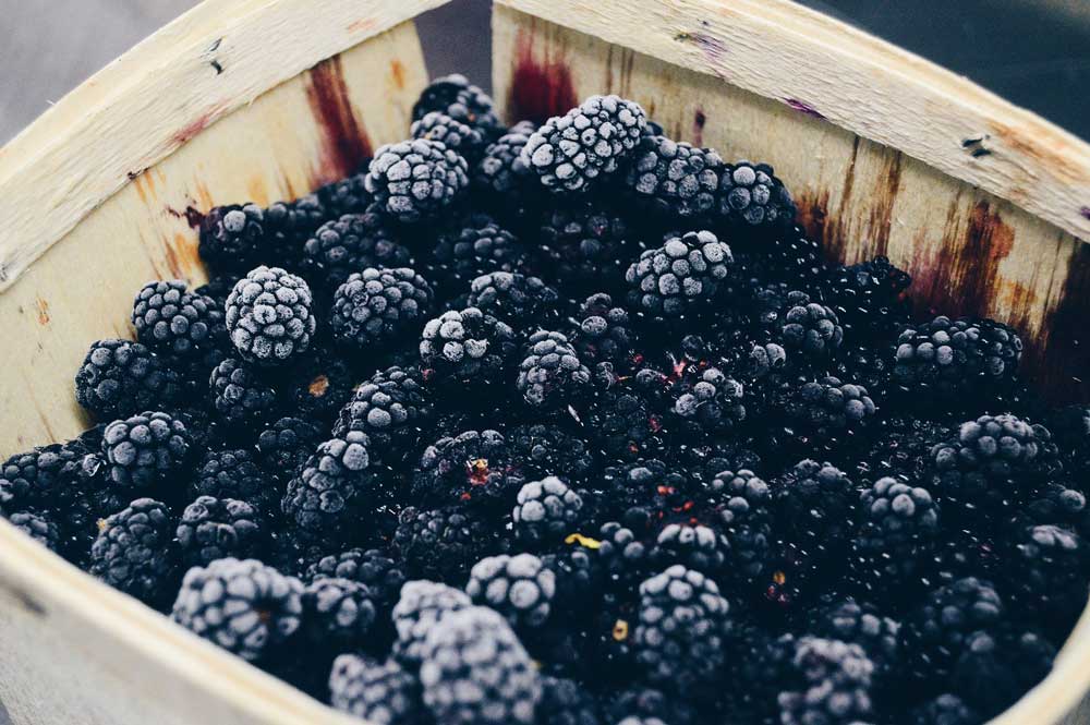 Blackberries just picked from the vine.