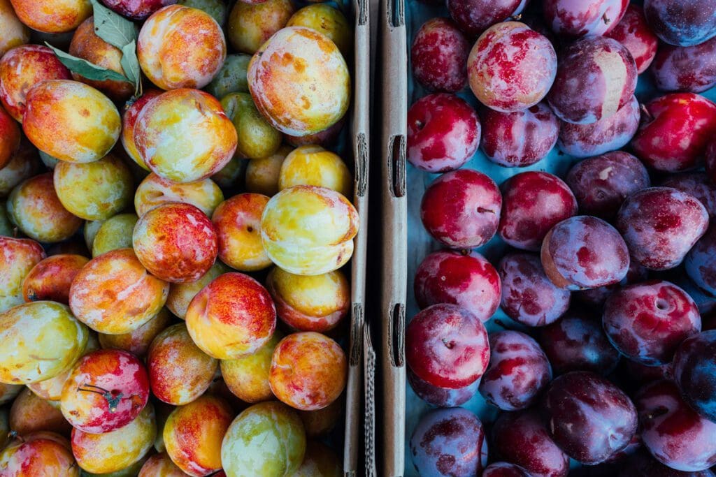 Peaches and plums in cardboard bins.