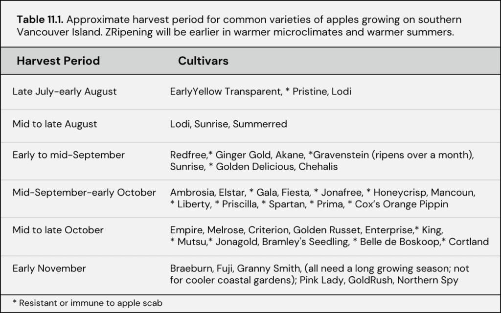 Harvesting Table