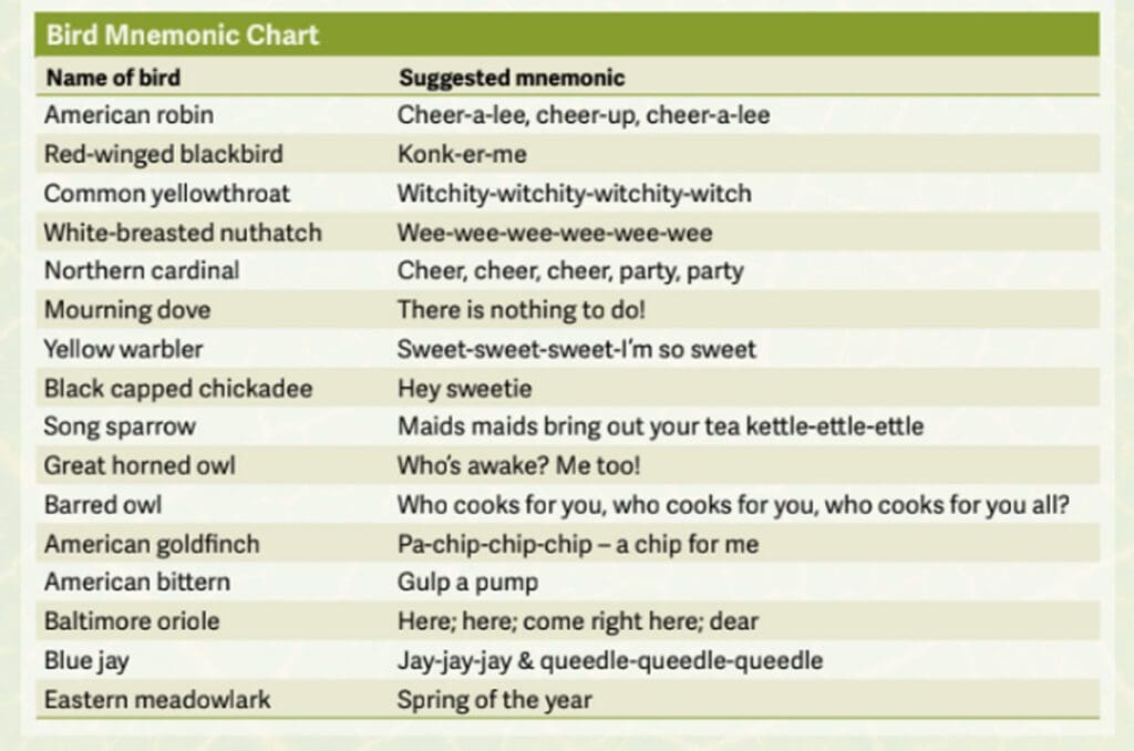 Bird Mnemonic chart