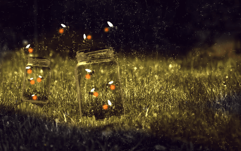 Two illuminated open jars light up the grass, with fireflies glowing in the night.