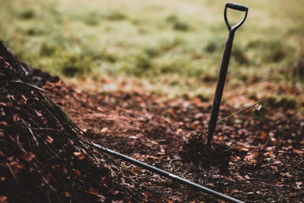 A rake sticks out of the ground next to a pile of leaves and sticks.