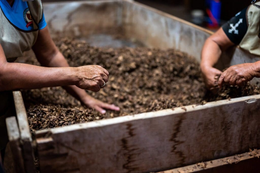 Two people with their hands in a wooden bin of soil and dirt.
