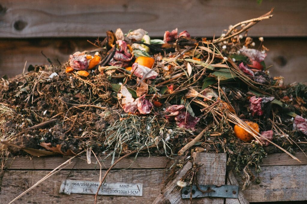 Grass, leaves, sticks, fruit, and vegetables (orange peels, apple cores, etc.) are in a compost pile.