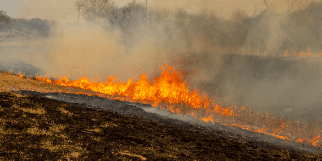 Controlled fires burn on indigenous land.