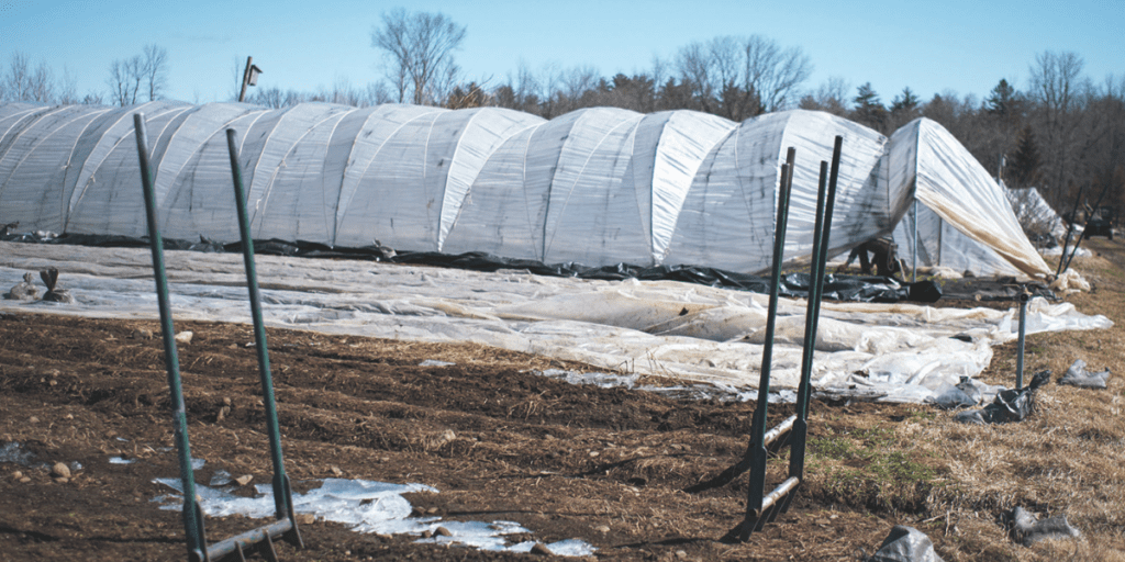 A partially closed greenhouse with metal frames overlooking a field on a clear day provides simple shelters to protect crops, ensuring efficient winter farming.