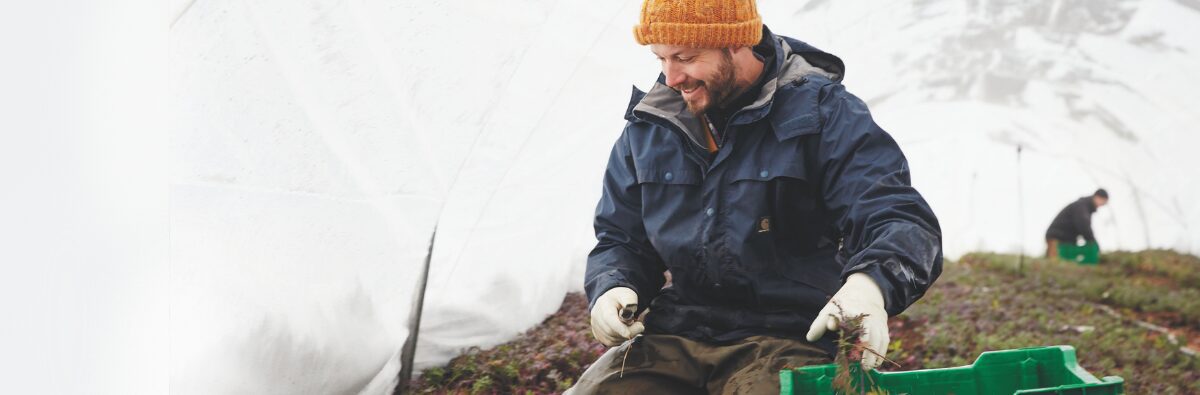 A person wearing a beanie and gloves safeguards crops by harvesting within a greenhouse, exemplifying the effectiveness.