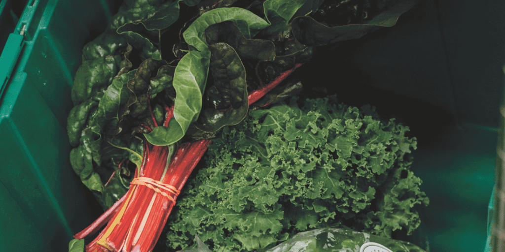 A bundle of Swiss chard and curly kale in a green container, perfect for Winter farming to protect crops.