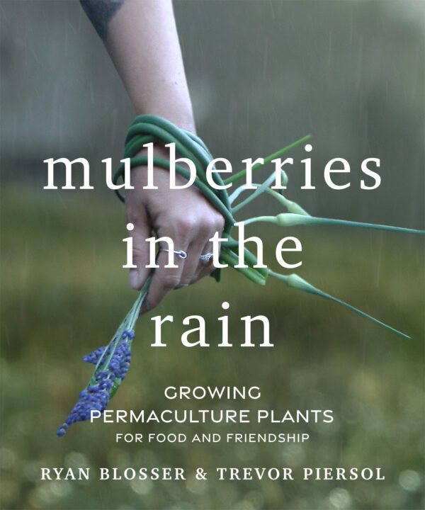 A hand holding plants with raindrops; title reads "Mulberries in the Rain," a book by Ryan Blosser and Trevor Piersol.