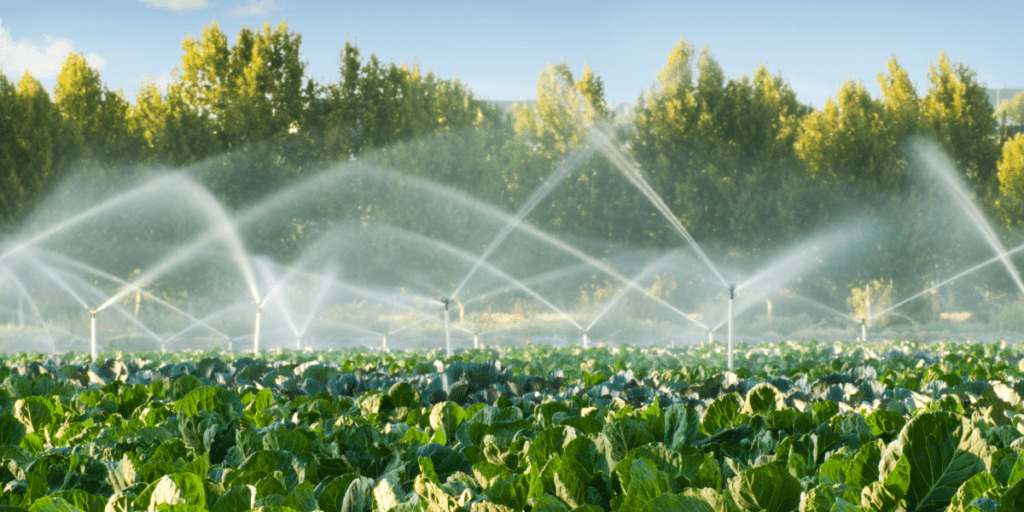 Sprinklers are nurturing a lush green field, demonstrating resilient agriculture with trees in the background.