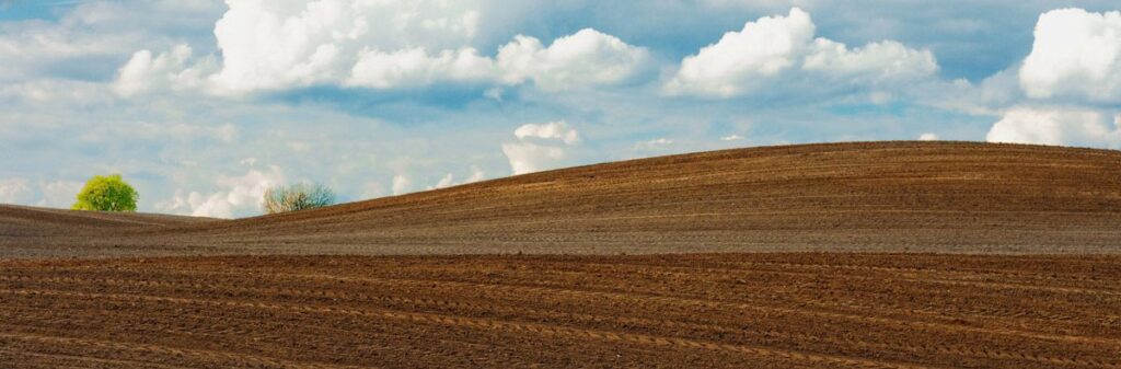 Rolling plowed field under a sky with fluffy clouds, symbolizing a healthy food system, with a distant green tree.