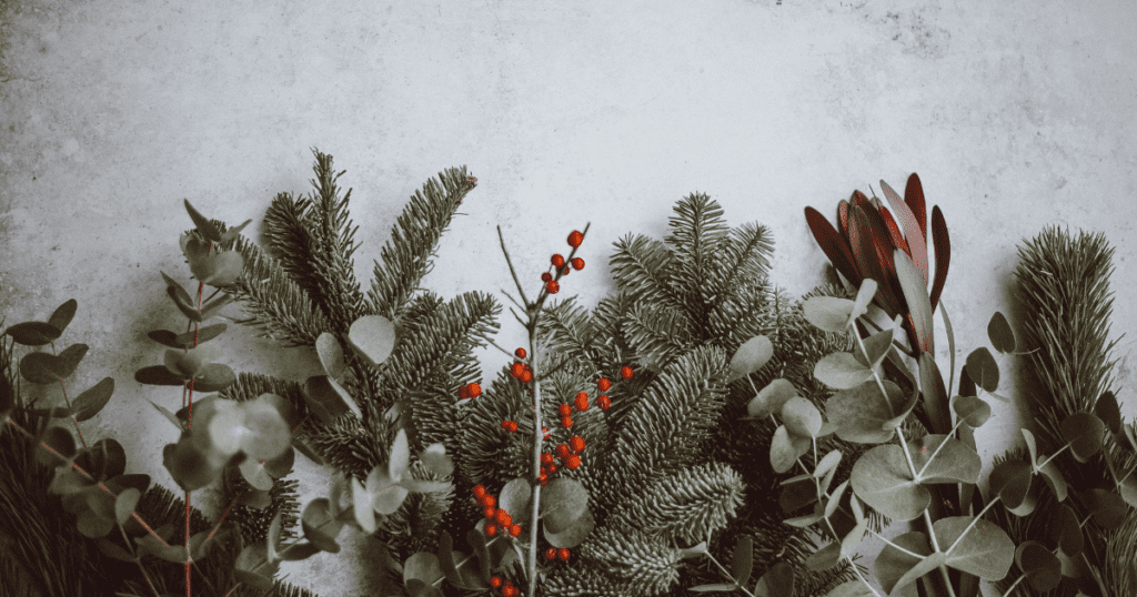 Greenery and red berries are thoughtfully arranged on a white surface, perfectly capturing the vision of festive holiday season decor.