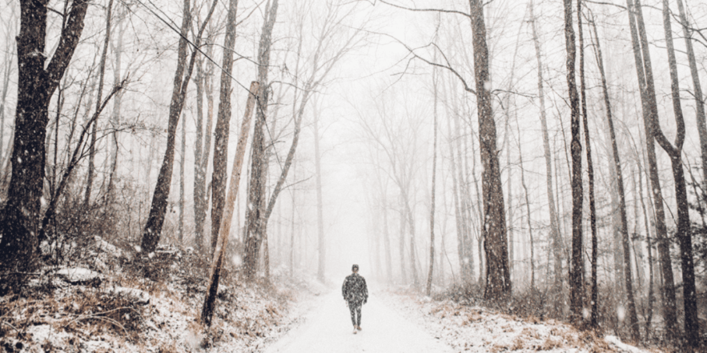 A person wanders along a snowy path in the forest, surrounded by bare trees, embracing the serene vision of the holiday season.