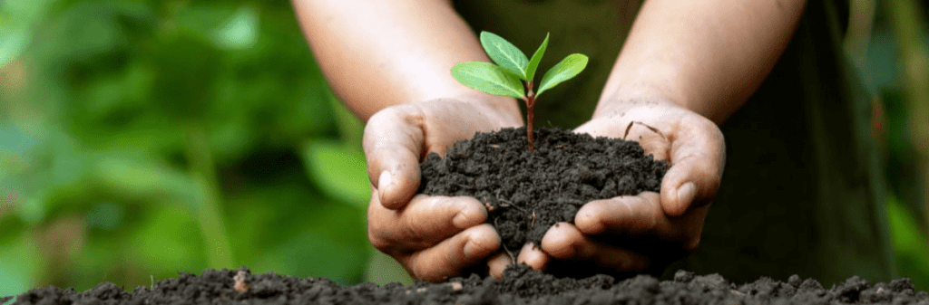 Hands holding soil with a small plant, surrounded by blurred green foliage, illustrate how change happens subtly yet profoundly in nature.