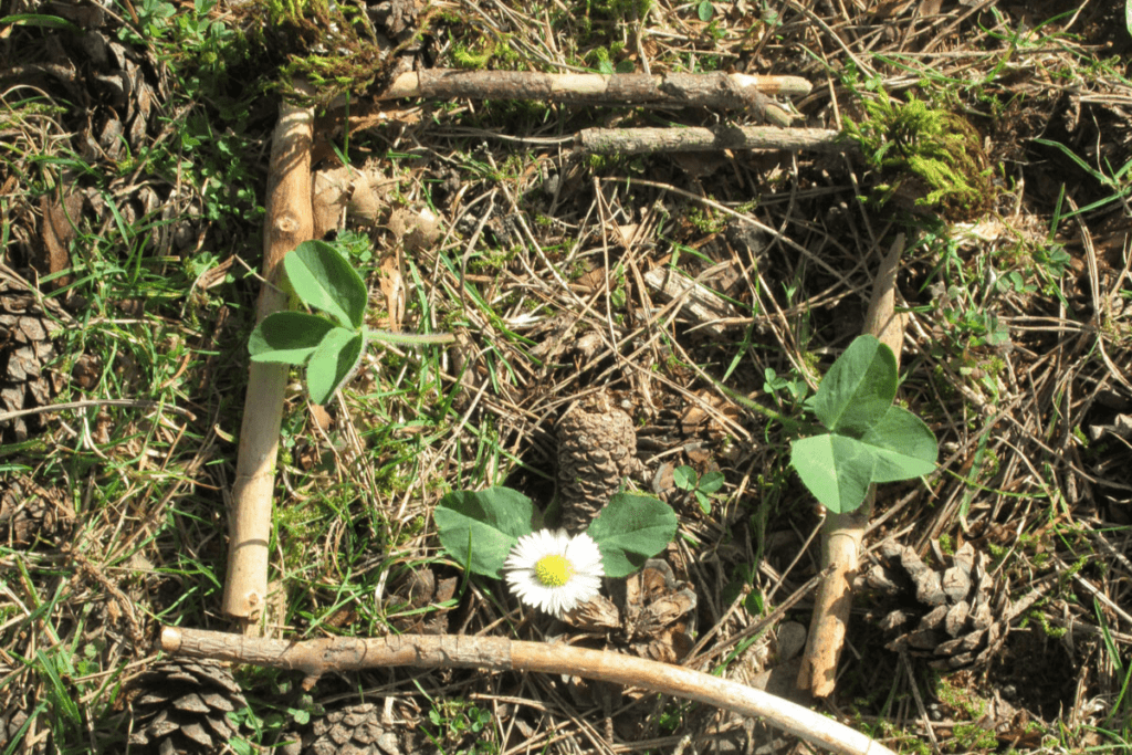 Twigs and leaves form a square frame around a daisy on the grass, inviting you to enjoy outside family activities during the holidays.