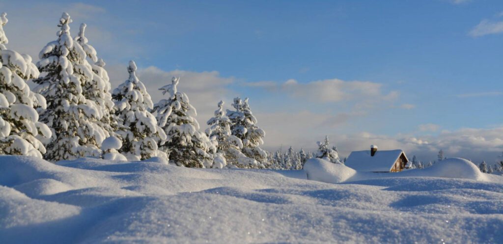 A snow-covered landscape with pine trees and a cozy cabin under a clear blue sky sets the perfect scene for festive outside family activities during the holidays.