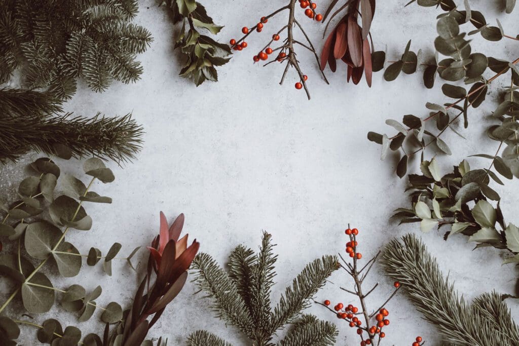 Frozen light glistens across festive greenery and red berries, forming a delicate frame on a light background.