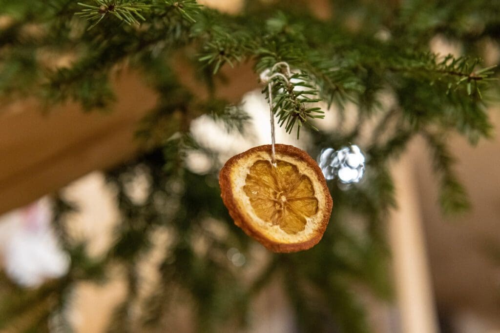 A dried orange slice ornament, capturing the essence of frozen light beauty, hangs gracefully on a Christmas tree branch.