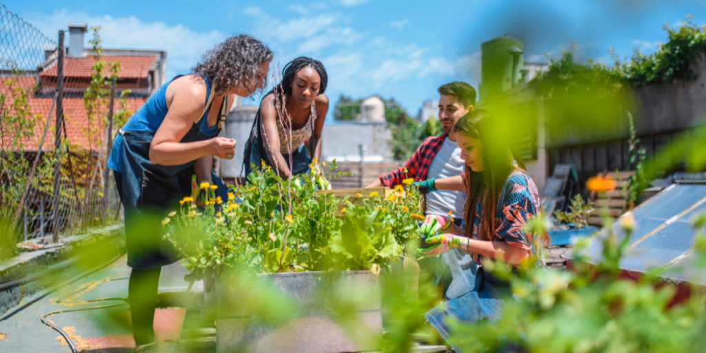Four people gardening together on a rooftop garden.