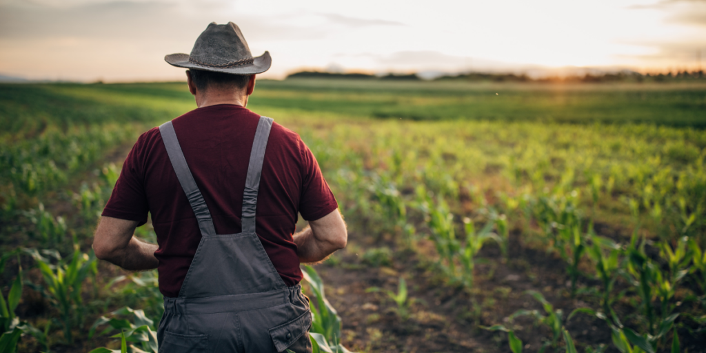 Farmer in overalls inspects his sustainable food plan in a green field at sunset.