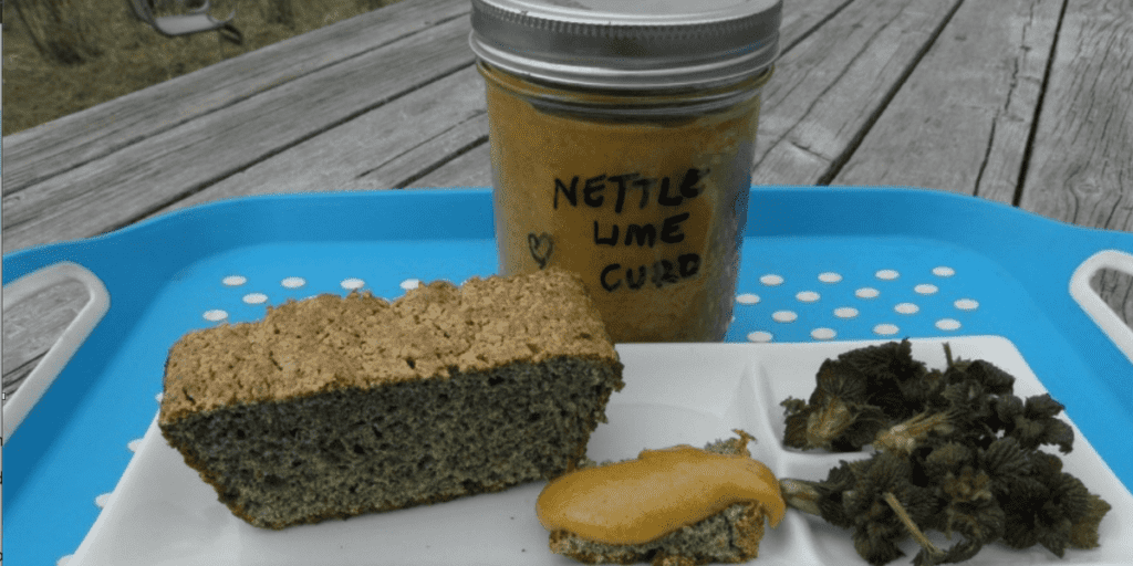 Nettle lime curd and bread on a blue tray, perfect for a foraging picnic.